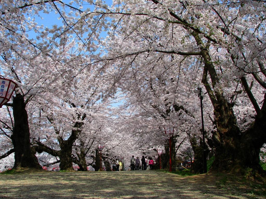 Agri In Holiday Hirosaki Exteriér fotografie